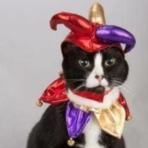 Meet your Posher, Marian